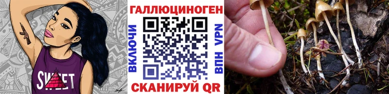 Галлюциногенные грибы Magic Shrooms  Спасск 